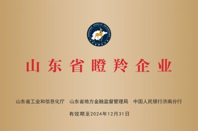 Rated as a gazelle enterprise in Shandong Province in 2021