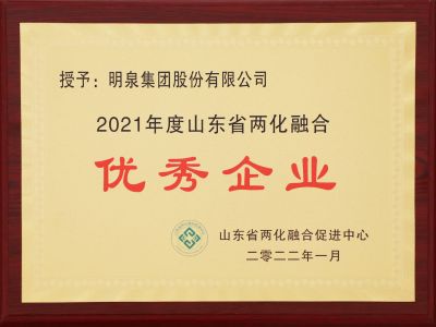 Excellent Enterprise of Integration of Informatization and Industrialization in Shandong Province in 2021